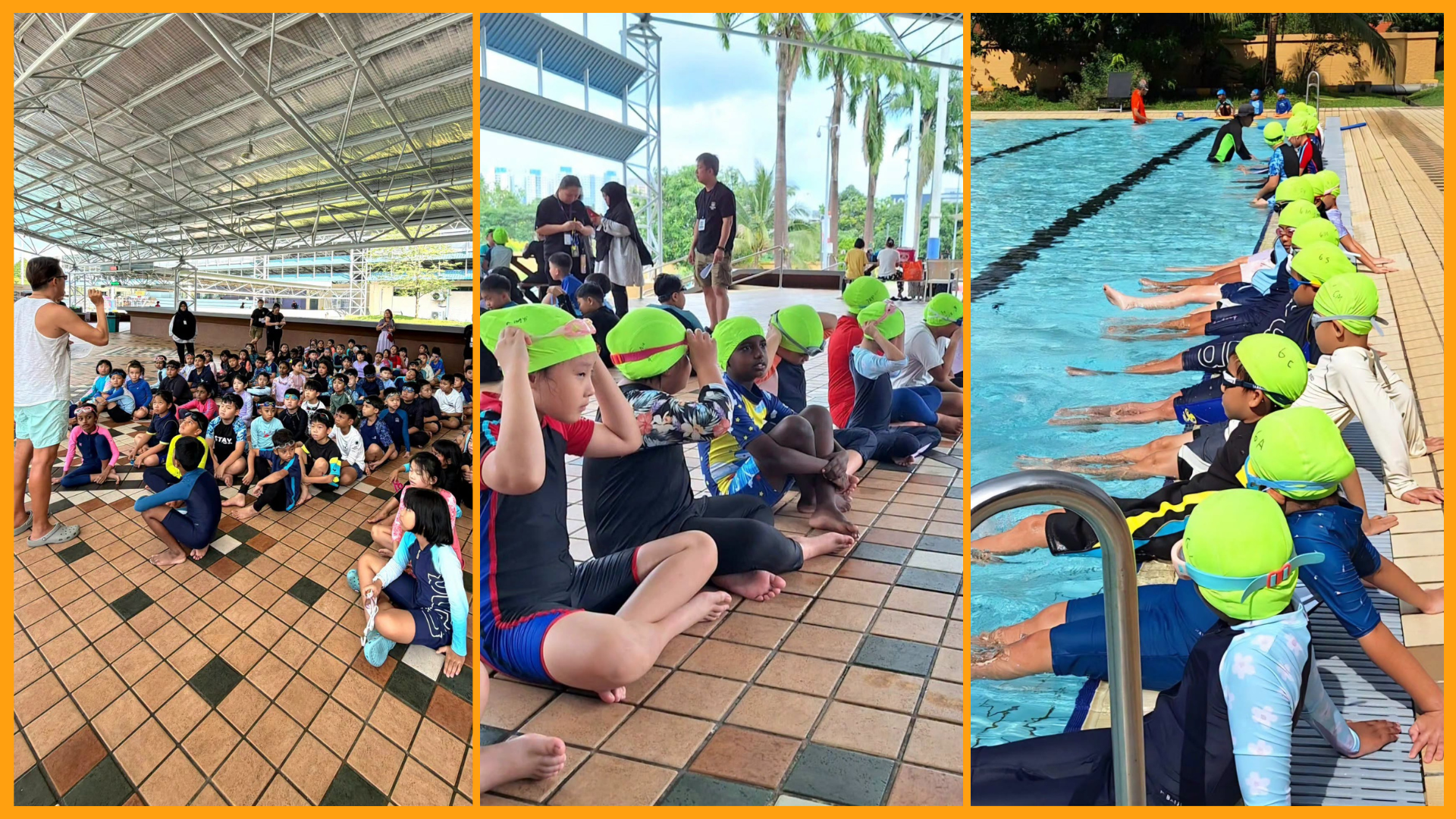 P3 swimsafer 2026